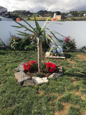 Gloria  Joaninha'S Beach House מראה חיצוני תמונה